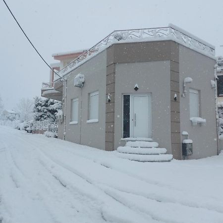 볼로스 Lefis House 아파트 외부 사진
